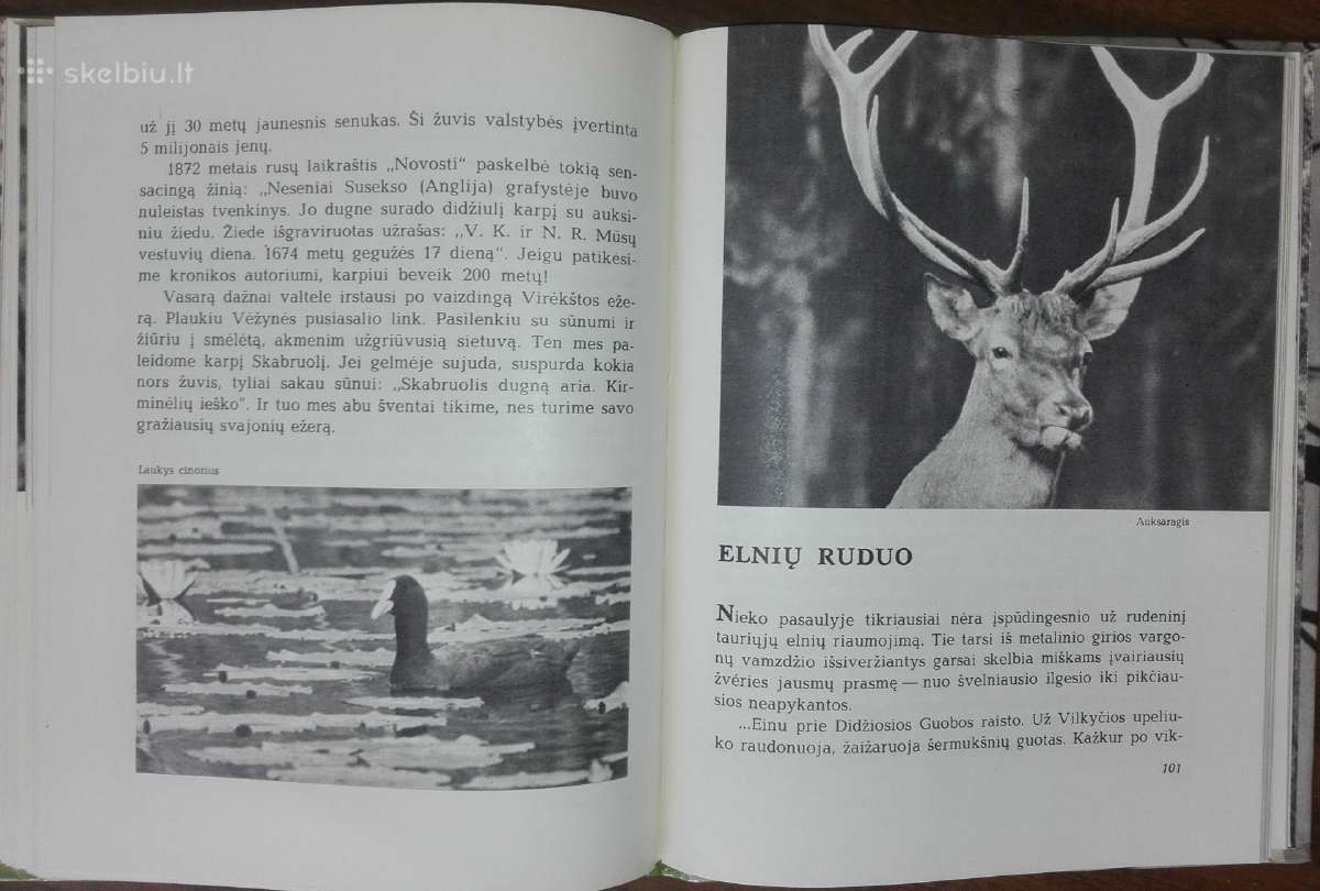 1387. Laiškai Iš Elnių Miško Grudzinskas L. - nuotraukos Nr. 9