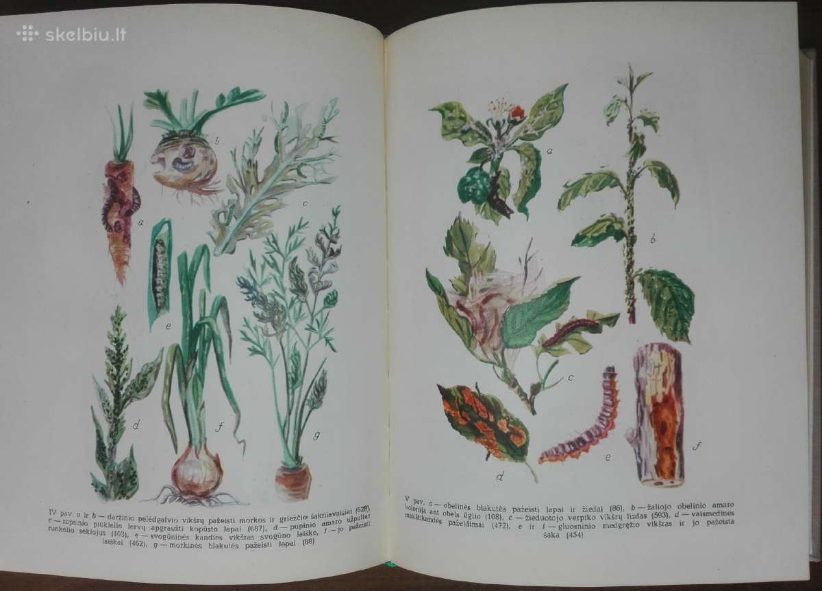 1391. Augalų Apsaugos Darbuotojo Žinynas - nuotraukos Nr. 5