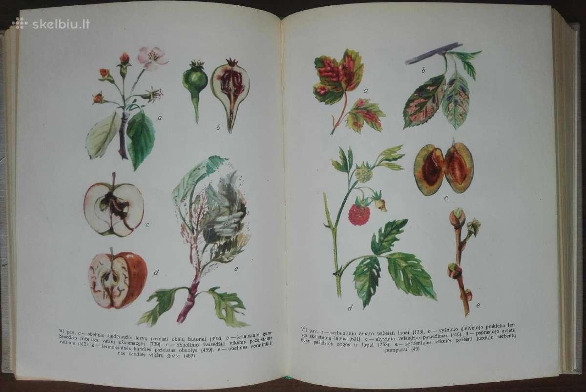 1391. Augalų Apsaugos Darbuotojo Žinynas - nuotraukos Nr. 6