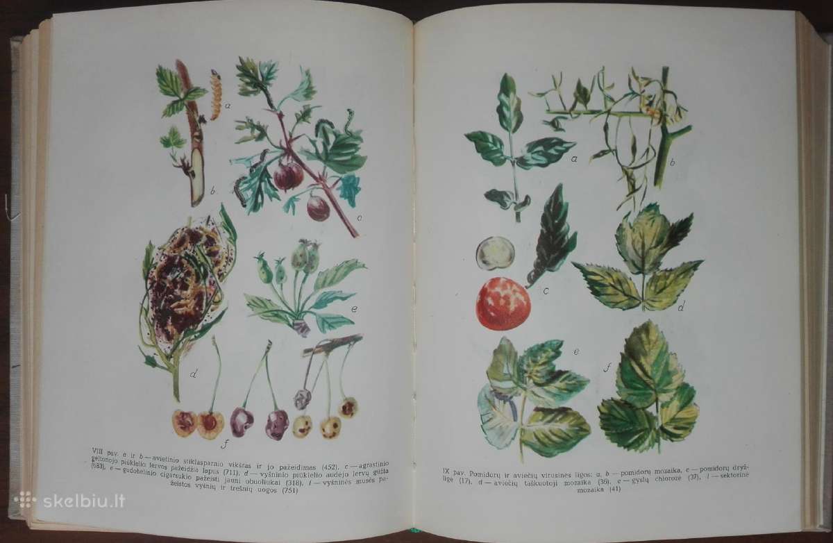 1391. Augalų Apsaugos Darbuotojo Žinynas - nuotraukos Nr. 7