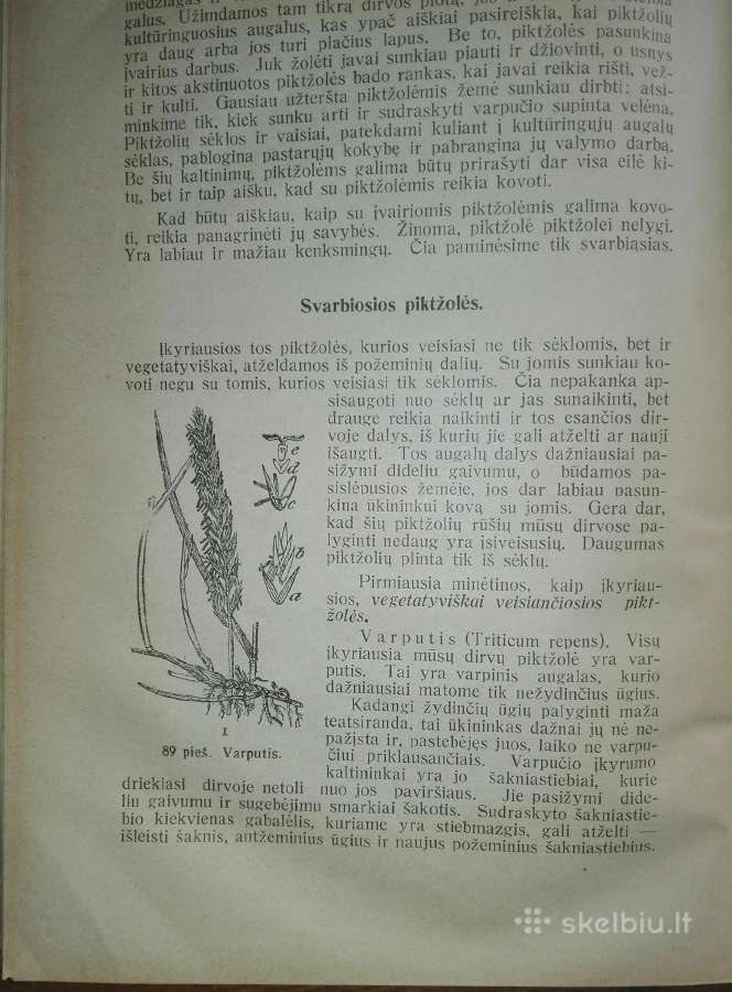 1393. Žemės Ūkio Vadovas - nuotraukos Nr. 4