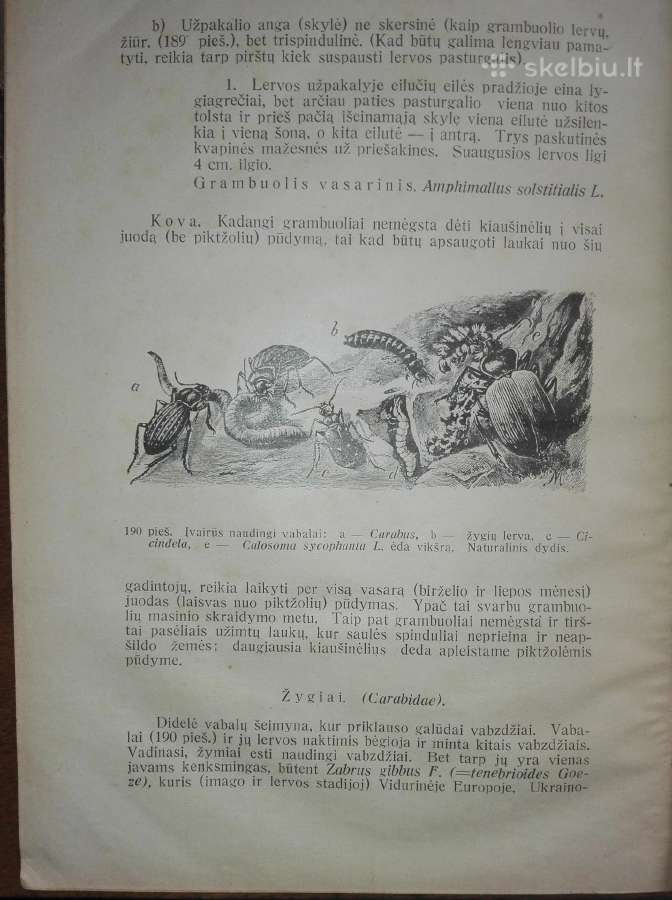1393. Žemės Ūkio Vadovas - nuotraukos Nr. 5