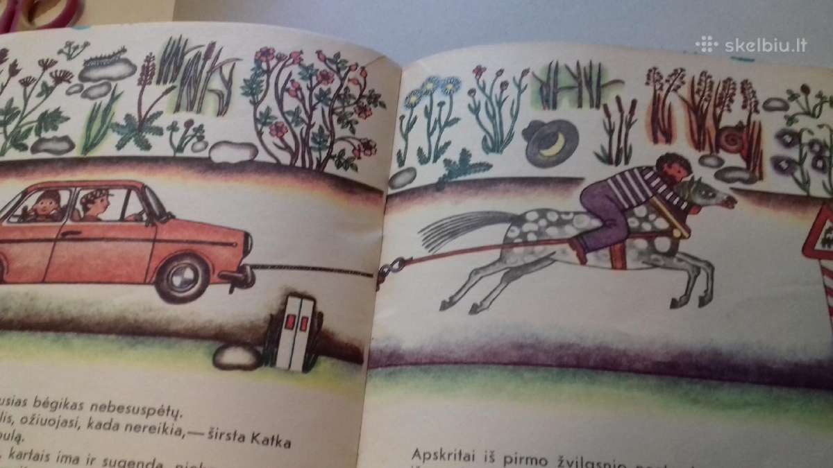 Vaikiska Knyga - nuotraukos Nr. 7