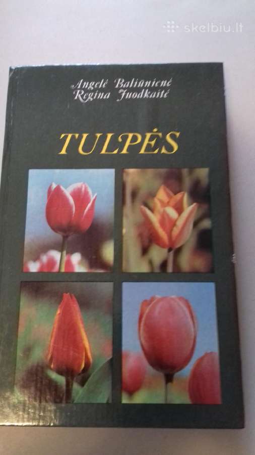Knyga (tulpes)
