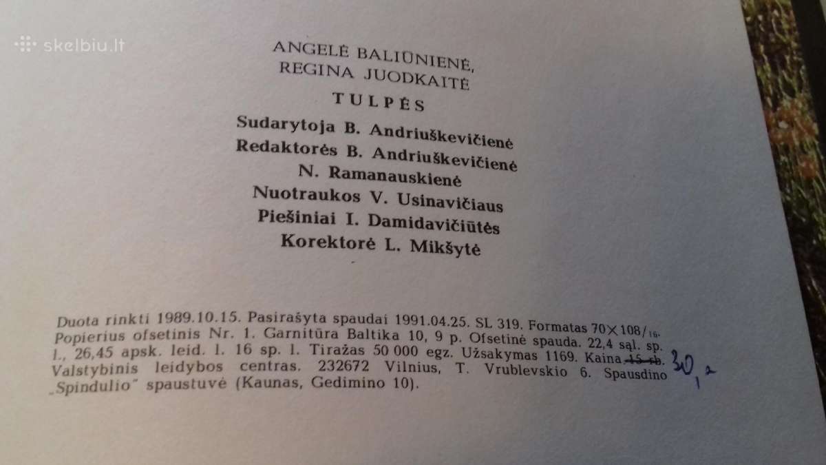 Knyga (tulpes) - nuotraukos Nr. 12