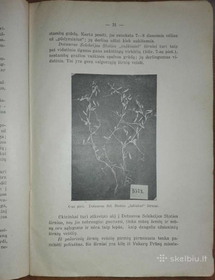 1396. Ankštiniai Augalai Krikščiūnas J. antikvarin - nuotraukos Nr. 3
