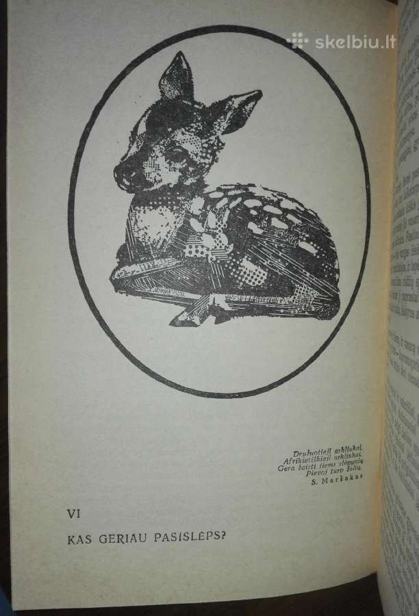 1409. Įdomioji Zoologija Sabunajevas V. - nuotraukos Nr. 5
