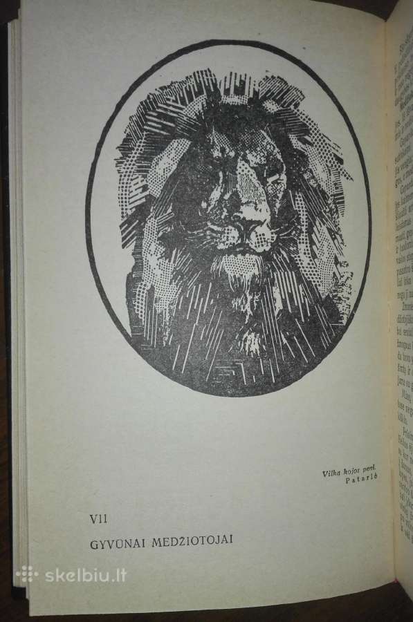 1409. Įdomioji Zoologija Sabunajevas V. - nuotraukos Nr. 6