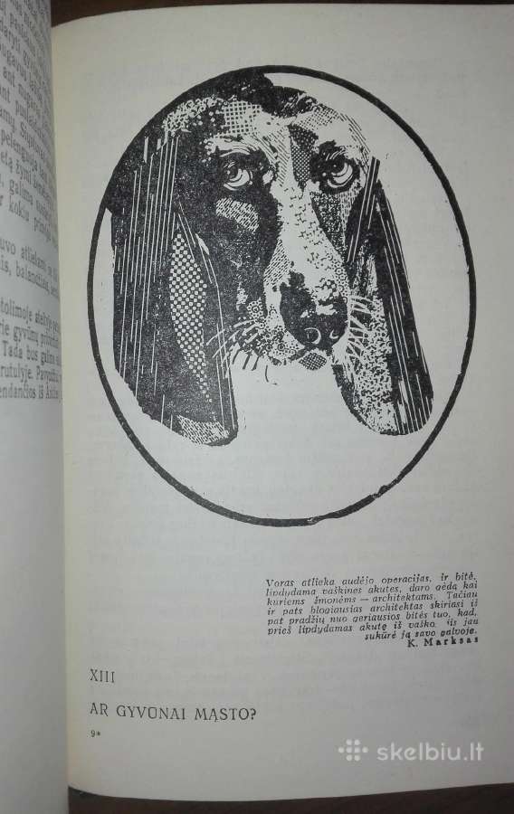 1409. Įdomioji Zoologija Sabunajevas V. - nuotraukos Nr. 7