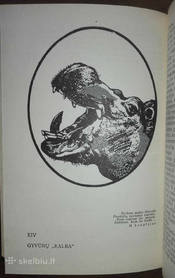 1409. Įdomioji Zoologija Sabunajevas V. - nuotraukos Nr. 8