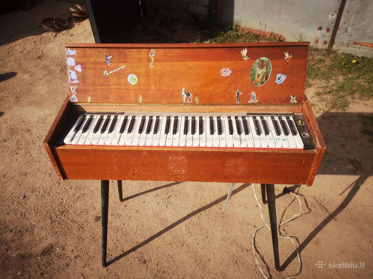 Gitaros,gitaros pedalas - nuotraukos Nr. 8