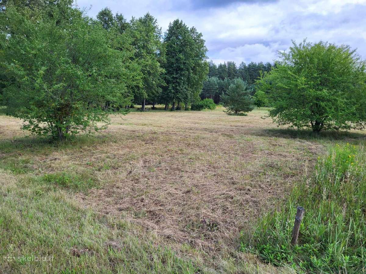 Parduodamas 14,51 a. namų valdos žemės sklypas - nuotraukos Nr. 4
