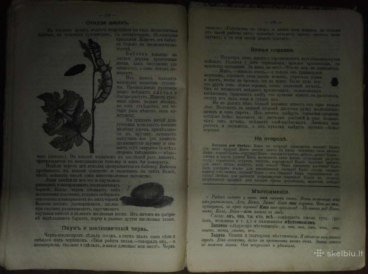 1414. Охота Пуще Неволи Соколовђ Н. - nuotraukos Nr. 6