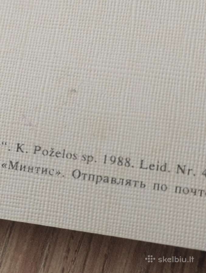Vincas Kudirka Tautiška giesmė - nuotraukos Nr. 4