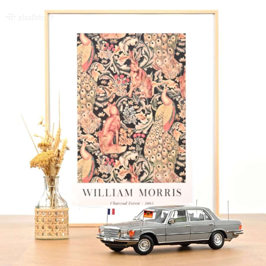 Mercedes-benz 350 Sel (W116)