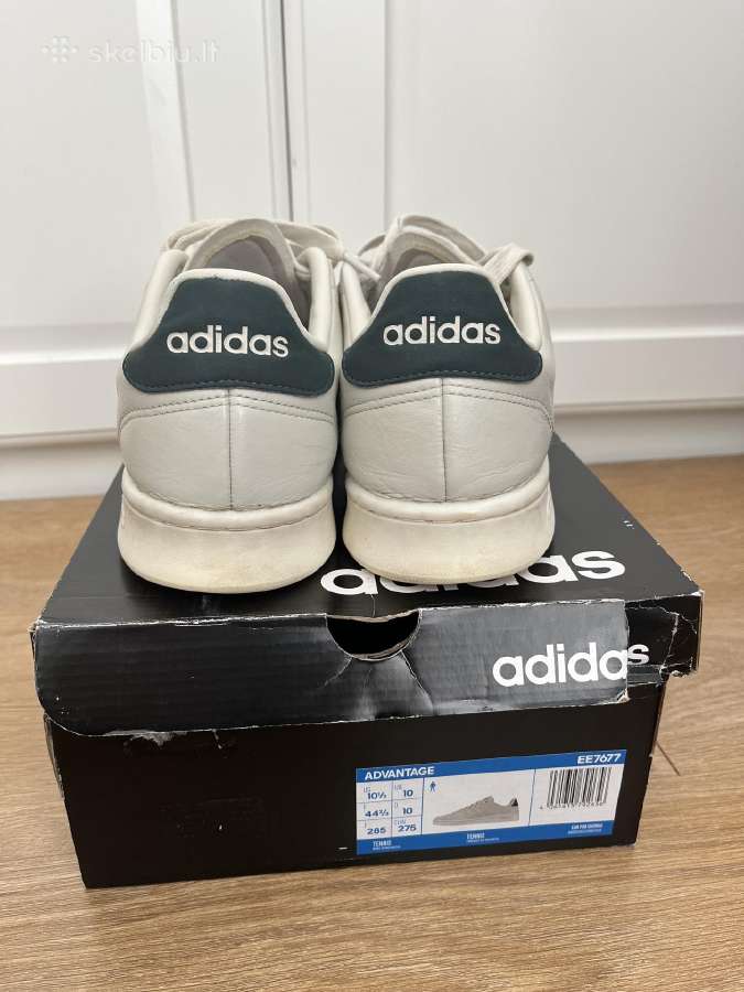 Adidas advantage tennis laisvalaikio batai - nuotraukos Nr. 5