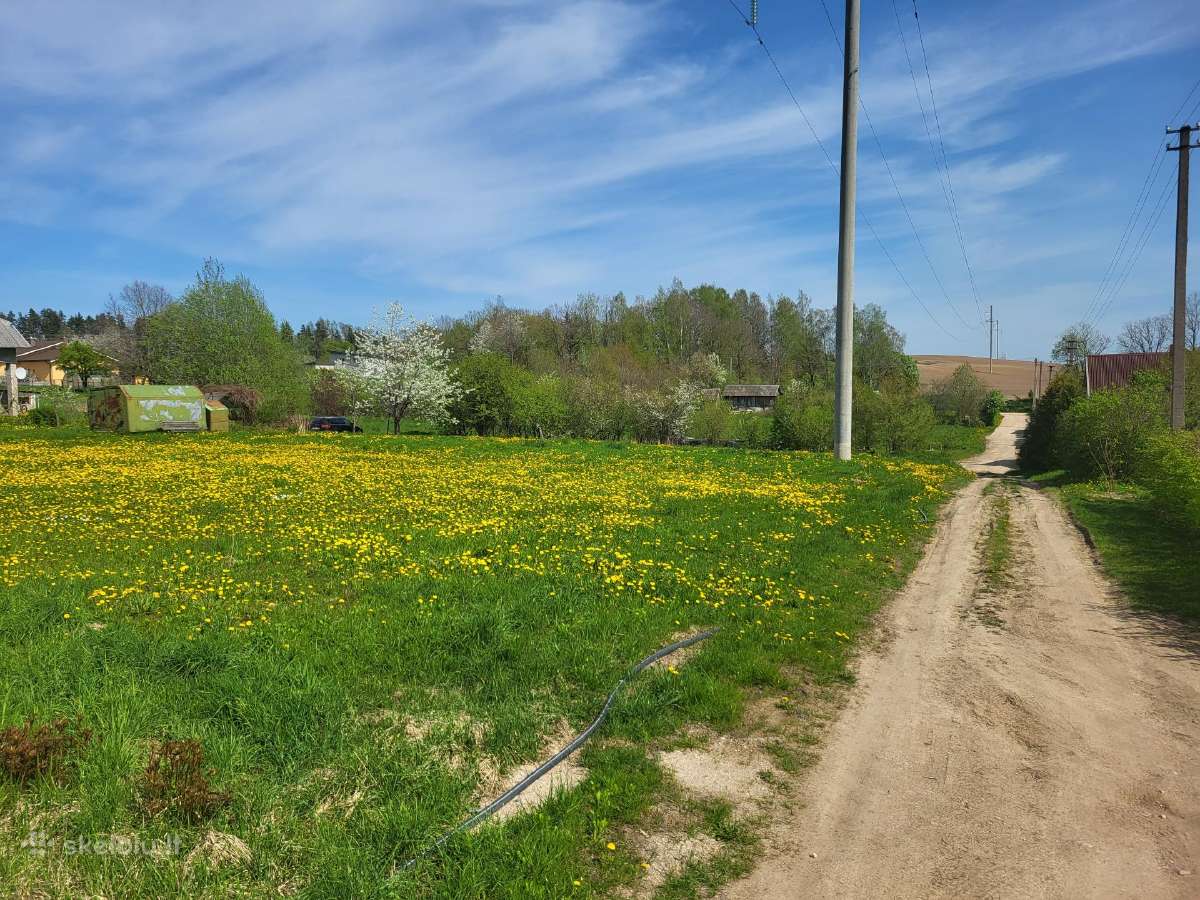 Parduodami 2 sodo sklypai "rasos"bendrija - nuotraukos Nr. 7