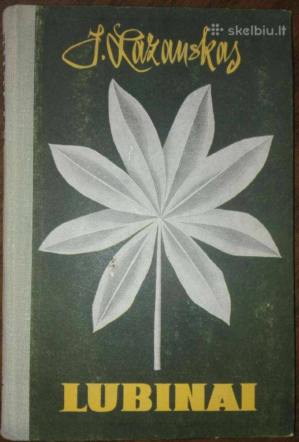 1431. Lubinai Lazauskas J.