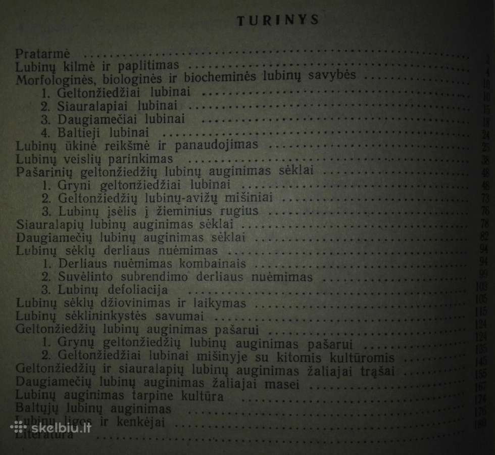 1431. Lubinai Lazauskas J. - nuotraukos Nr. 4