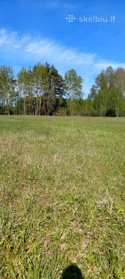 Namų valda/ūkininko sodyba Parduodami Sklypai - nuotraukos Nr. 15
