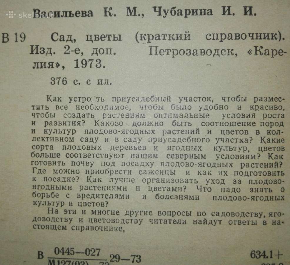 1438. Сад, Цветы Васильева К. - nuotraukos Nr. 2