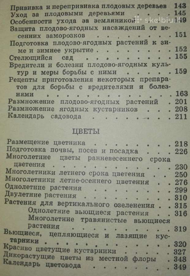 1438. Сад, Цветы Васильева К. - nuotraukos Nr. 9