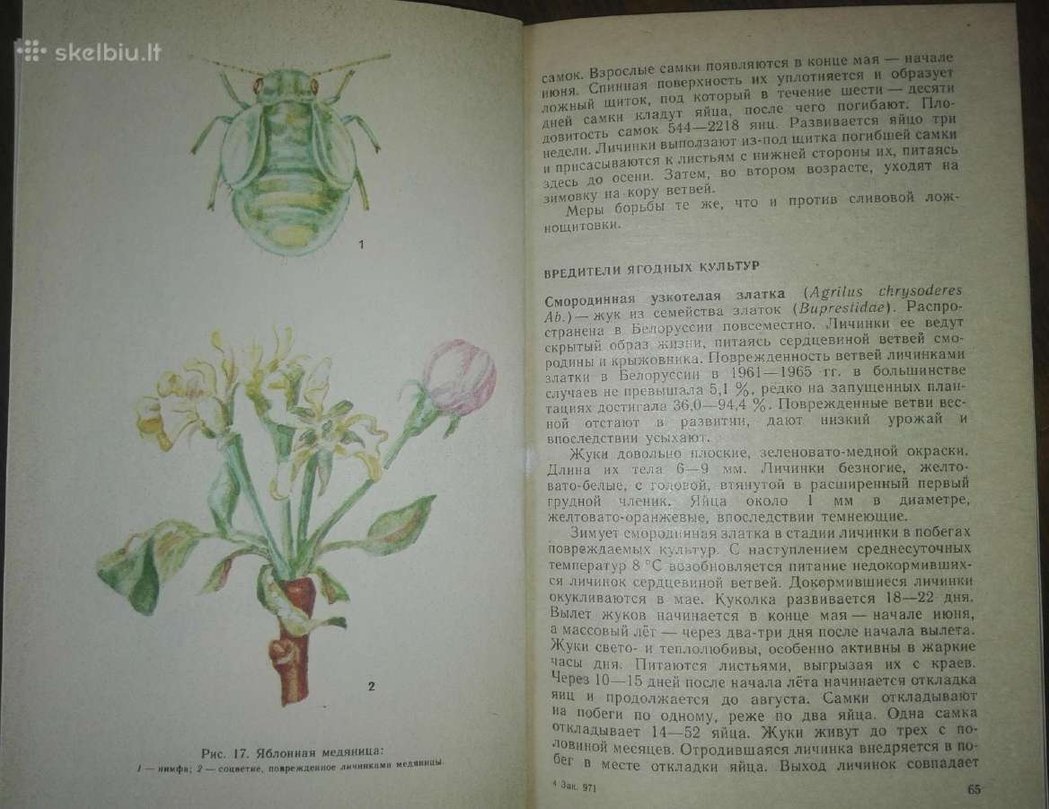 1440. Как Защитит Сад От Вредителей И Болезней - nuotraukos Nr. 6