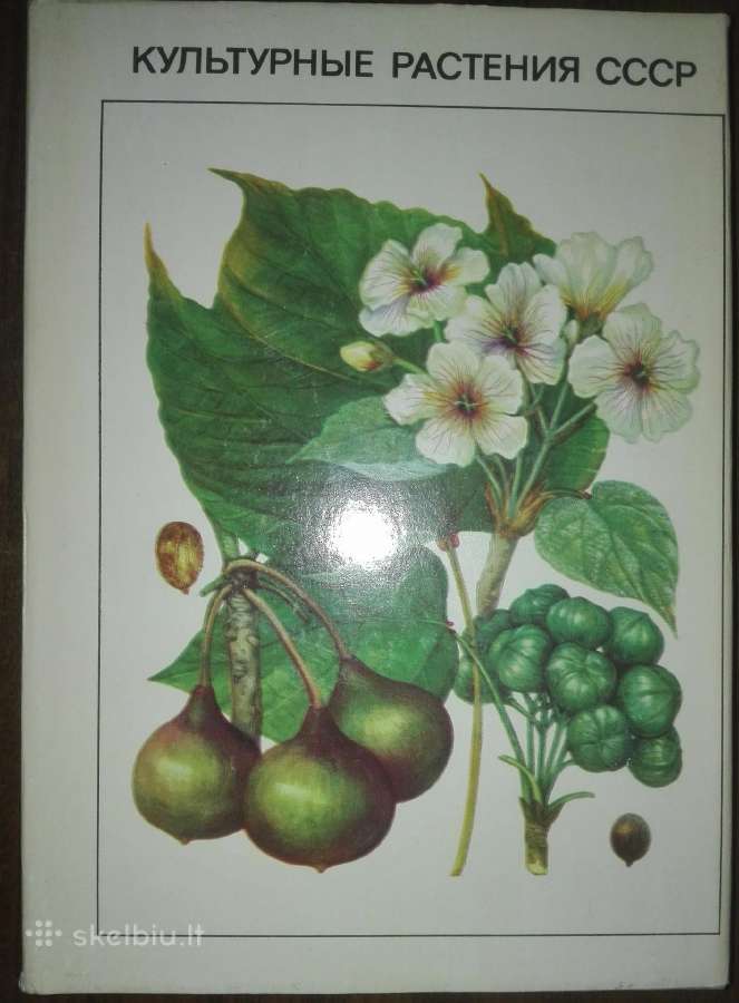 1441. Культурные Растения Сср Вехов В.