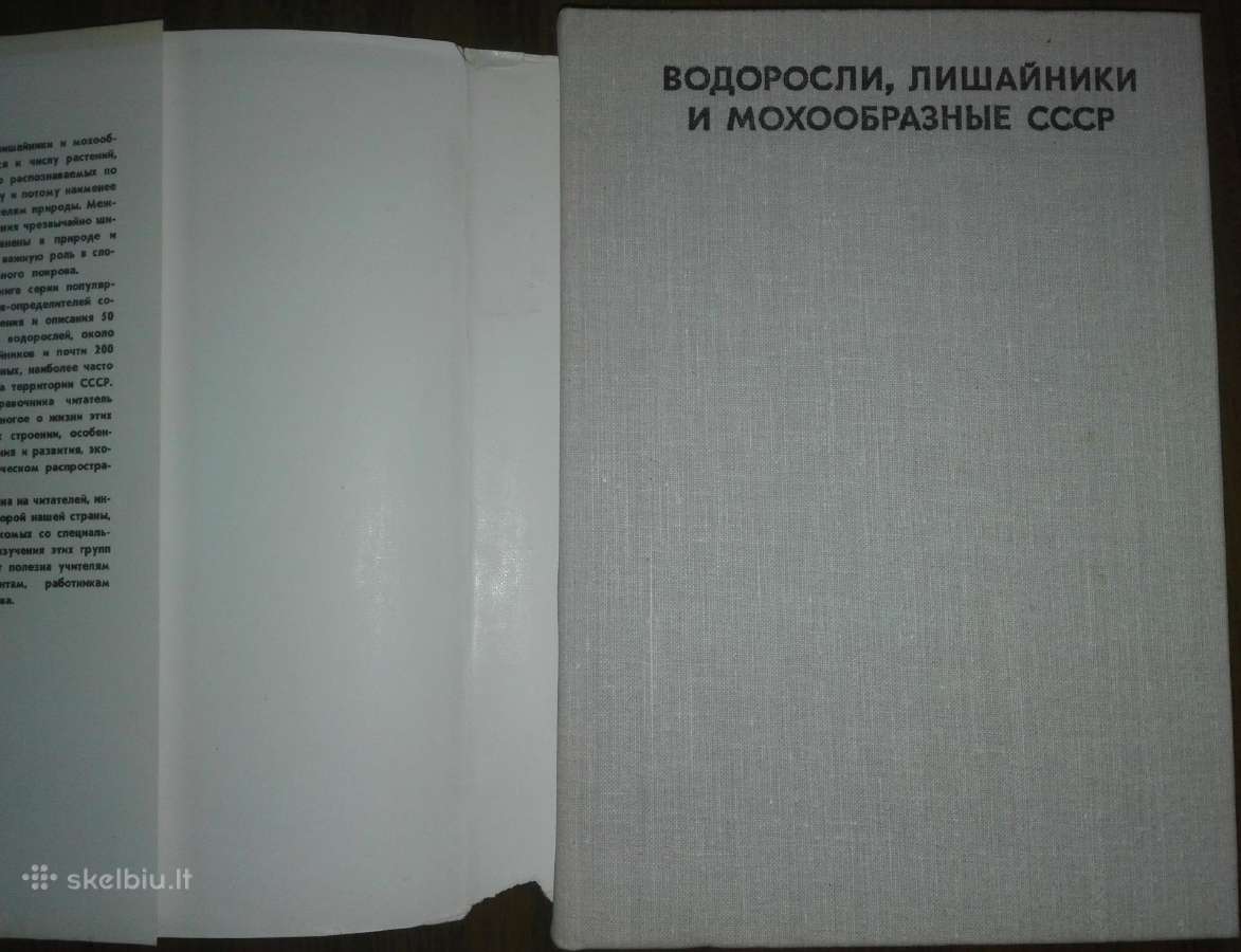 1442. Водоросли, Лишайники И Мохообразные Сср - nuotraukos Nr. 2