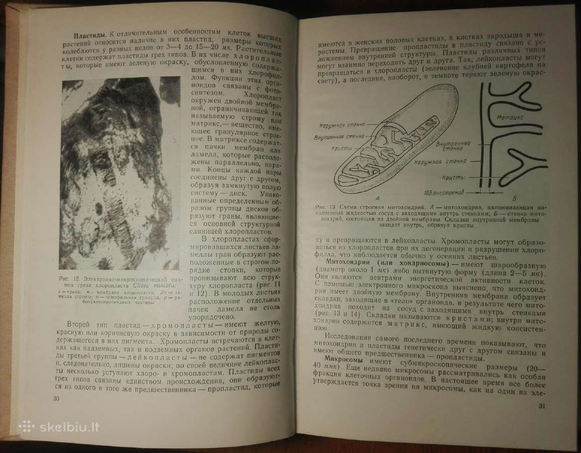 1443. Курс Физиологии Растений Рубин Б. - nuotraukos Nr. 3