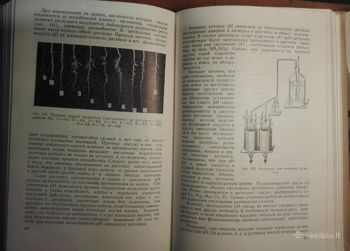 1443. Курс Физиологии Растений Рубин Б. - nuotraukos Nr. 4