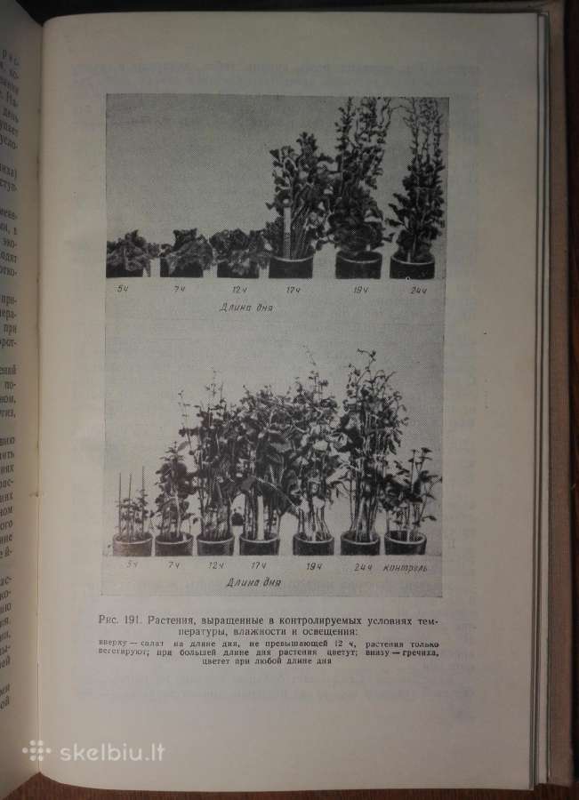 1443. Курс Физиологии Растений Рубин Б. - nuotraukos Nr. 5