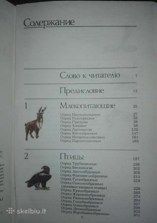 1445. *редкие И Исчезающие Животные Сосновский И. - nuotraukos Nr. 3