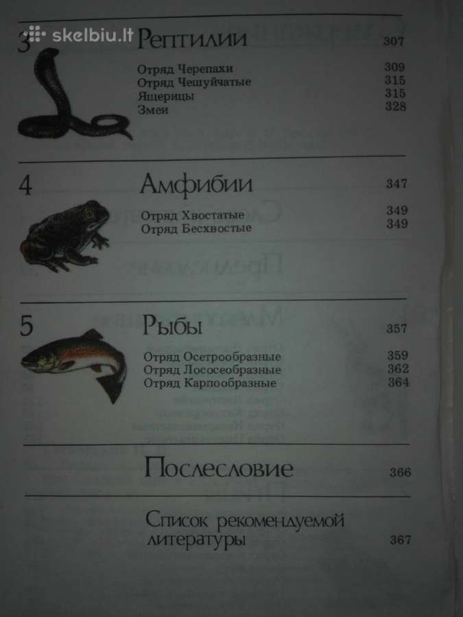 1445. *редкие И Исчезающие Животные Сосновский И. - nuotraukos Nr. 4