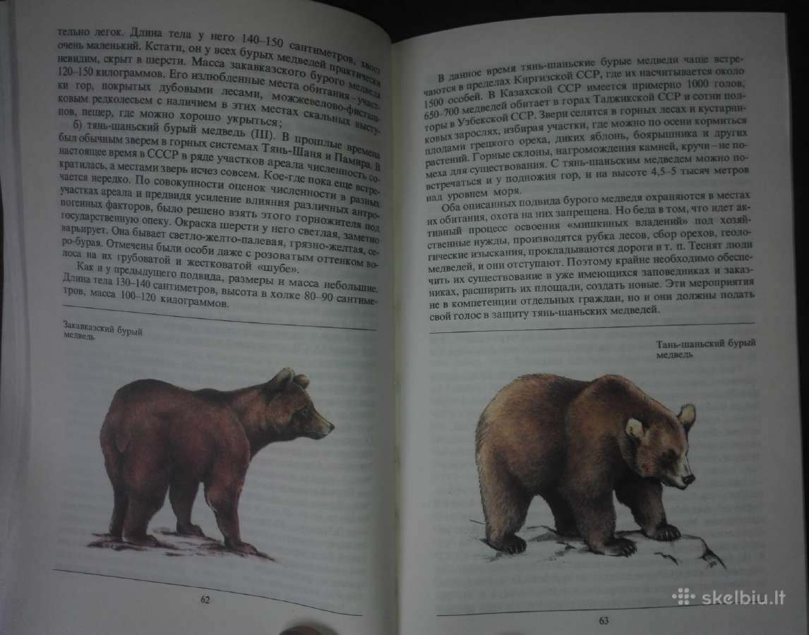 1445. *редкие И Исчезающие Животные Сосновский И. - nuotraukos Nr. 5