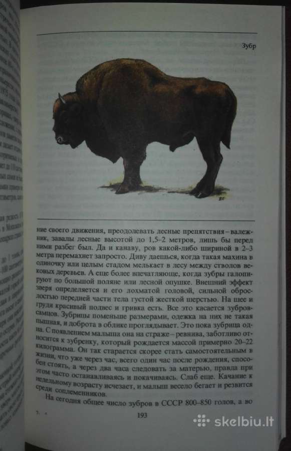 1445. *редкие И Исчезающие Животные Сосновский И. - nuotraukos Nr. 6