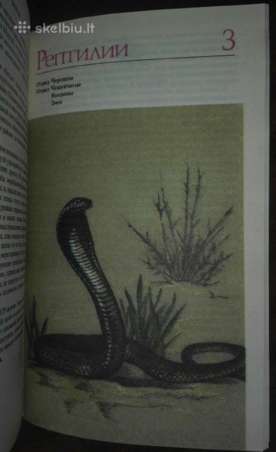 1445. *редкие И Исчезающие Животные Сосновский И. - nuotraukos Nr. 8