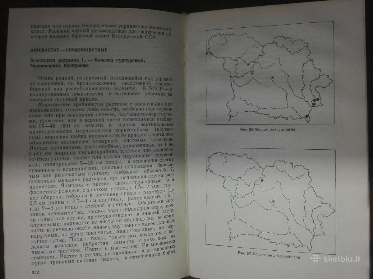 1446. Редкие И Исчезающие Виды Растений . И Литв - nuotraukos Nr. 3