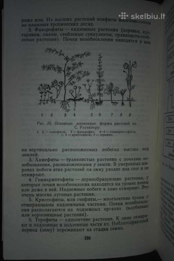 1447. Экология Радкевтч В. - nuotraukos Nr. 4