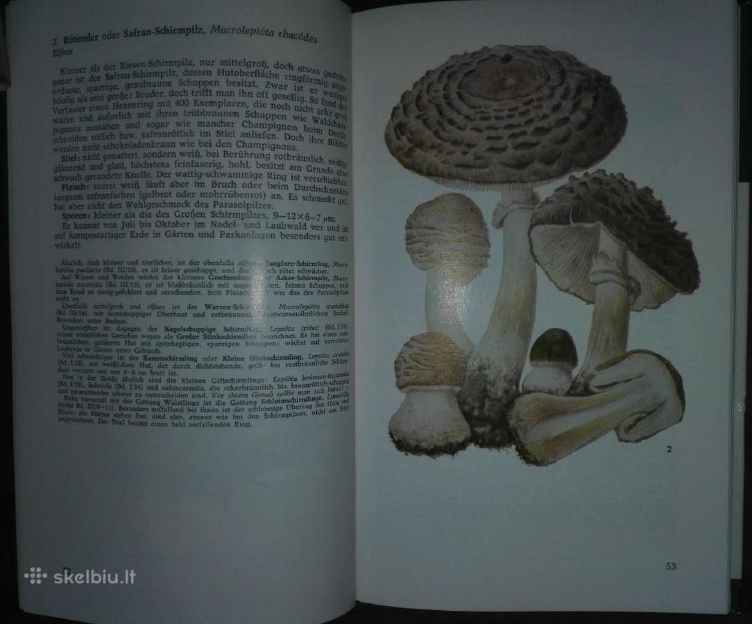 1448. Taschenbuch Henning B. - nuotraukos Nr. 3