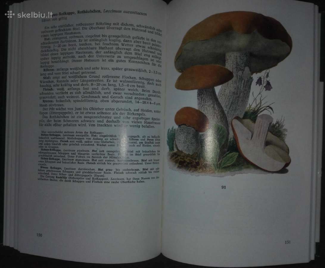 1448. Taschenbuch Henning B. - nuotraukos Nr. 4