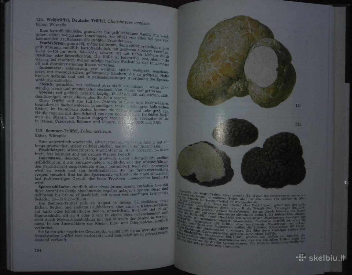 1448. Taschenbuch Henning B. - nuotraukos Nr. 5
