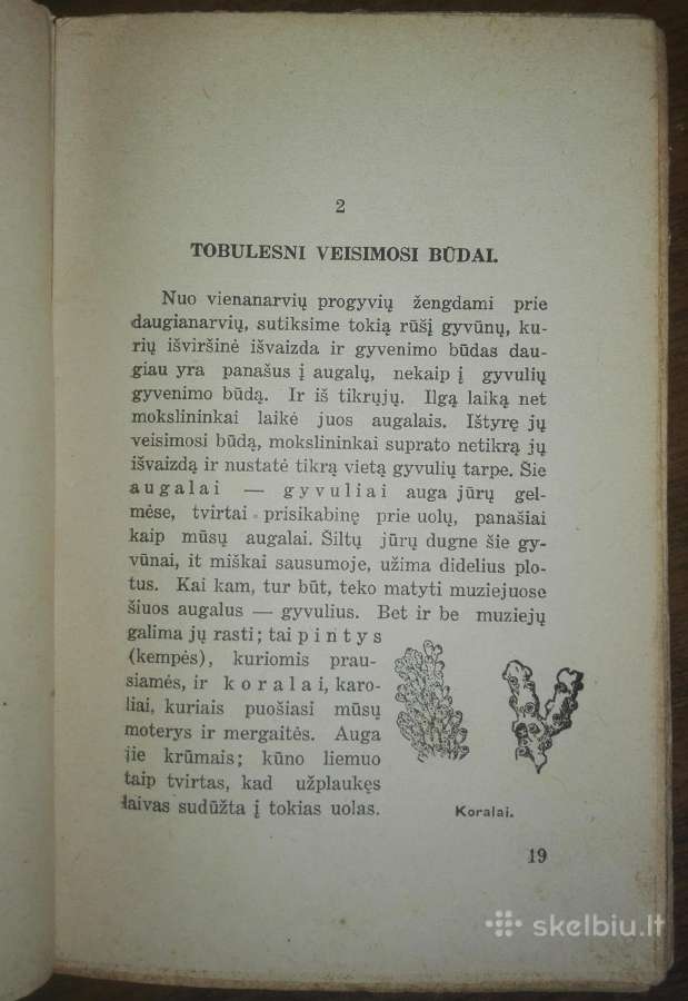 1450. Motina Ir Jos Rūpesčiai Vaikų Likimu Garmus - nuotraukos Nr. 3