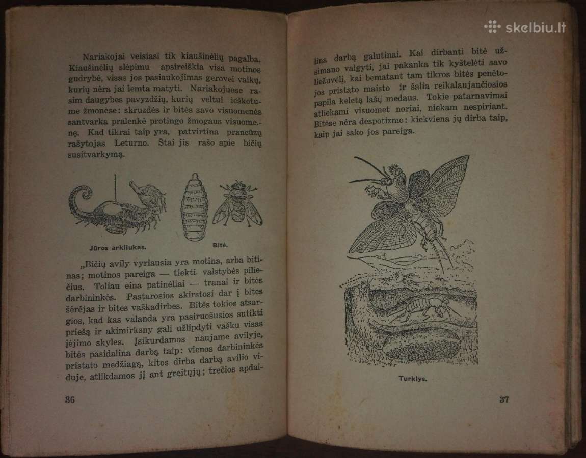 1450. Motina Ir Jos Rūpesčiai Vaikų Likimu Garmus - nuotraukos Nr. 4