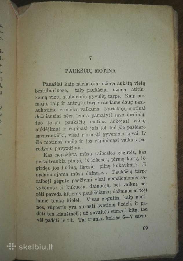 1450. Motina Ir Jos Rūpesčiai Vaikų Likimu Garmus - nuotraukos Nr. 5