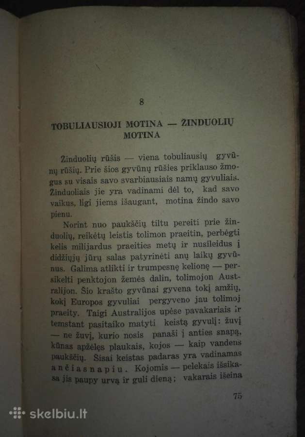 1450. Motina Ir Jos Rūpesčiai Vaikų Likimu Garmus - nuotraukos Nr. 6