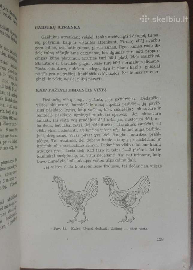 1454. Paukštininkystė - nuotraukos Nr. 5