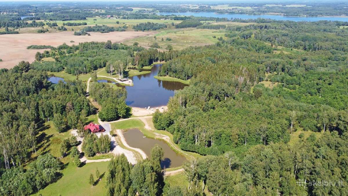 Laisvas savaitgalis tarp laisvai besiganančių elni - nuotraukos Nr. 5