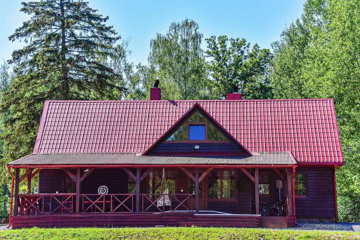 Laisvas savaitgalis tarp laisvai besiganančių elni - nuotraukos Nr. 6