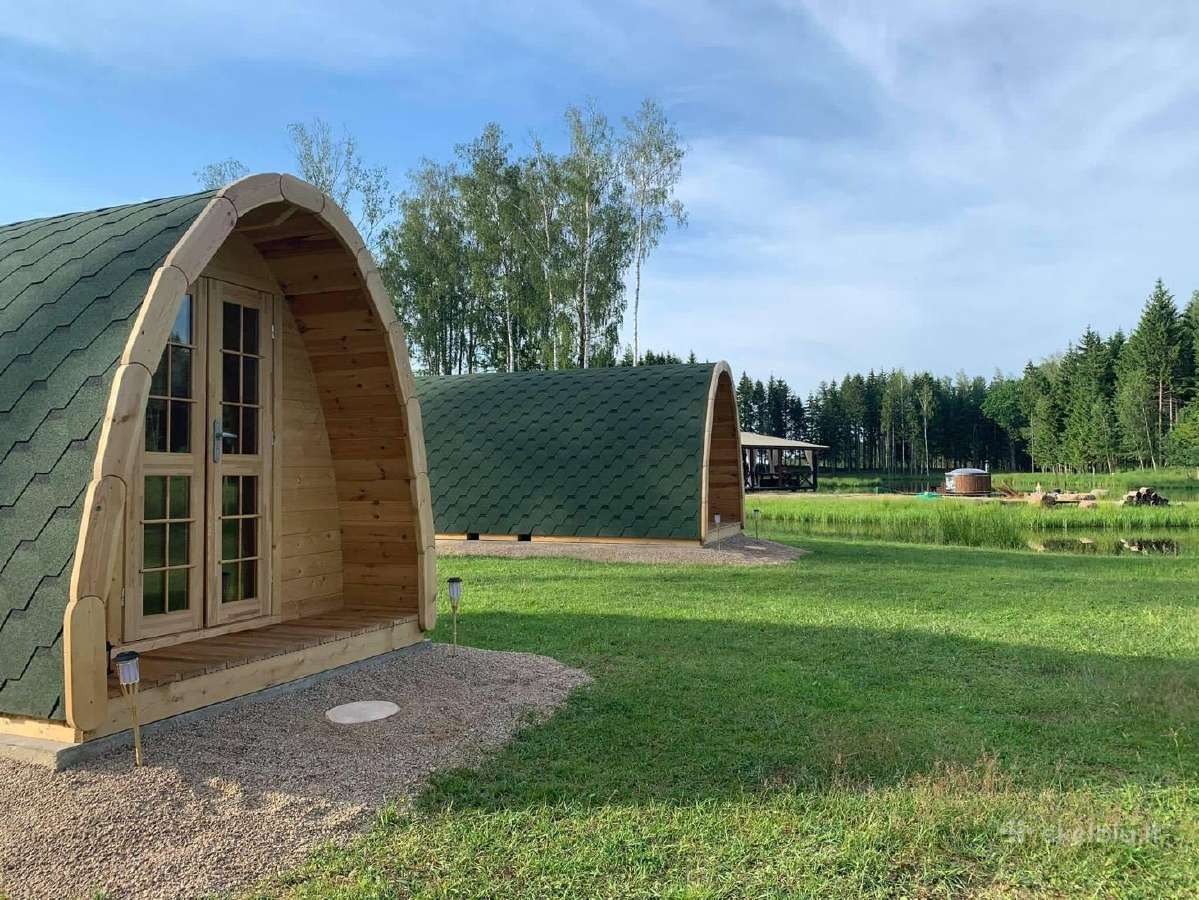 Laisvas savaitgalis tarp laisvai besiganančių elni - nuotraukos Nr. 7